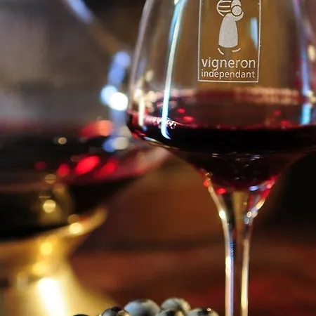 Spacieux Au Coeur D'un Vignoble Avec Sauna, Cheminee Et Jardin Privatif, Vallee Du Layon - Fr-1-622-49 * Le Champ-sur-Layon