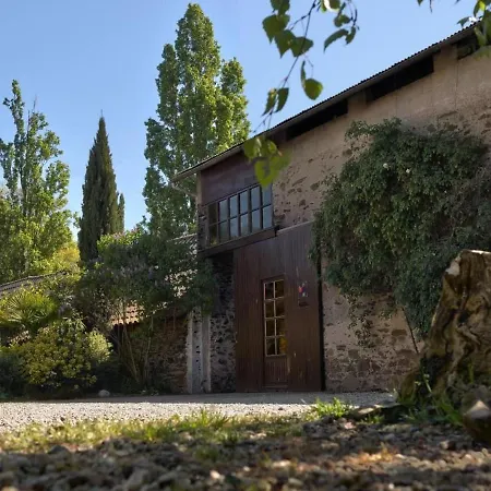 Spacieux Au Coeur D'un Vignoble Avec Sauna, Cheminee Et Jardin Privatif, Vallee Du Layon - Fr-1-622-49 بيت للعطل