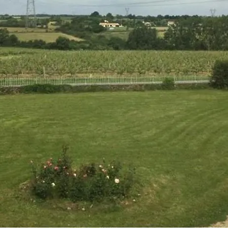 Spacieux Au Coeur D'un Vignoble Avec Sauna, Cheminee Et Jardin Privatif, Vallee Du Layon - Fr-1-622-49 بيت للعطل *