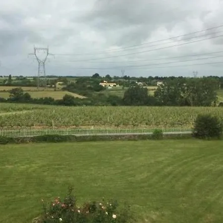Spacieux Au Coeur D'un Vignoble Avec Sauna, Cheminee Et Jardin Privatif, Vallee Du Layon - Fr-1-622-49 بيت للعطل Le Champ-sur-Layon