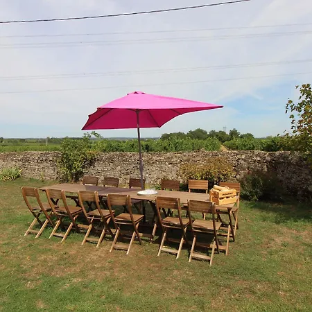 Spacieux Au Coeur D'un Vignoble Avec Sauna, Cheminee Et Jardin Privatif, Vallee Du Layon - Fr-1-622-49 * Le Champ-sur-Layon