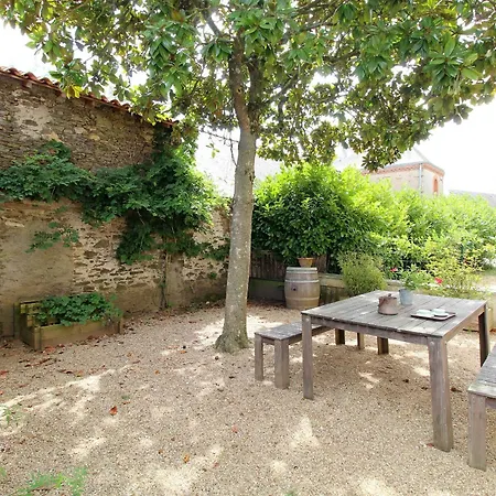 Spacieux Au Coeur D'un Vignoble Avec Sauna, Cheminee Et Jardin Privatif, Vallee Du Layon - Fr-1-622-49 *
